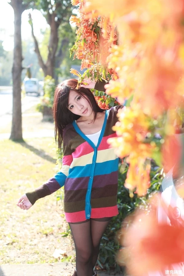 17458465.webp