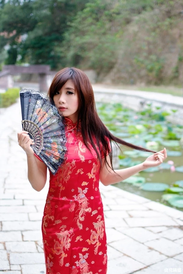 17458508.webp