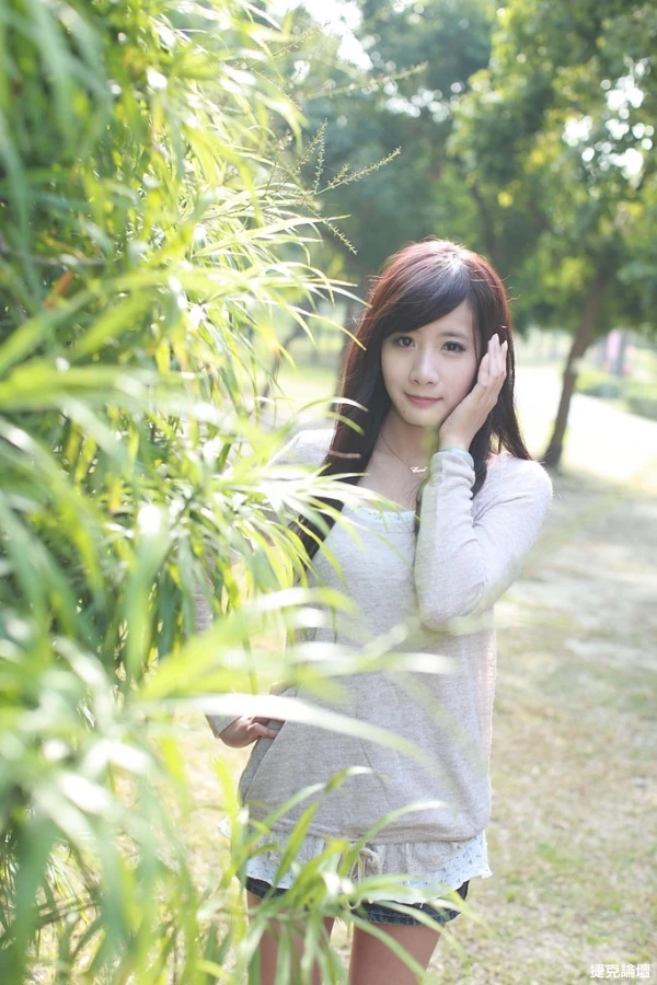 17458526.webp