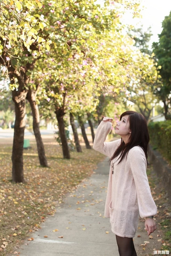 17458534.webp