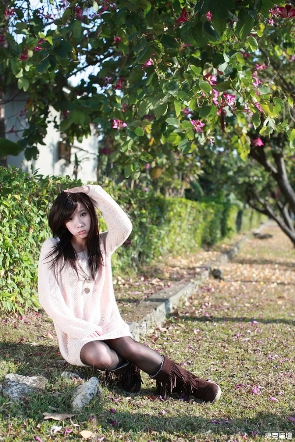 17458535.webp
