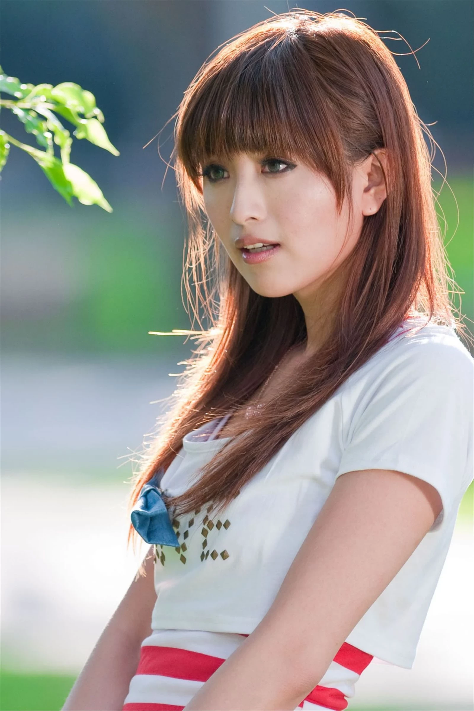 30740125.webp