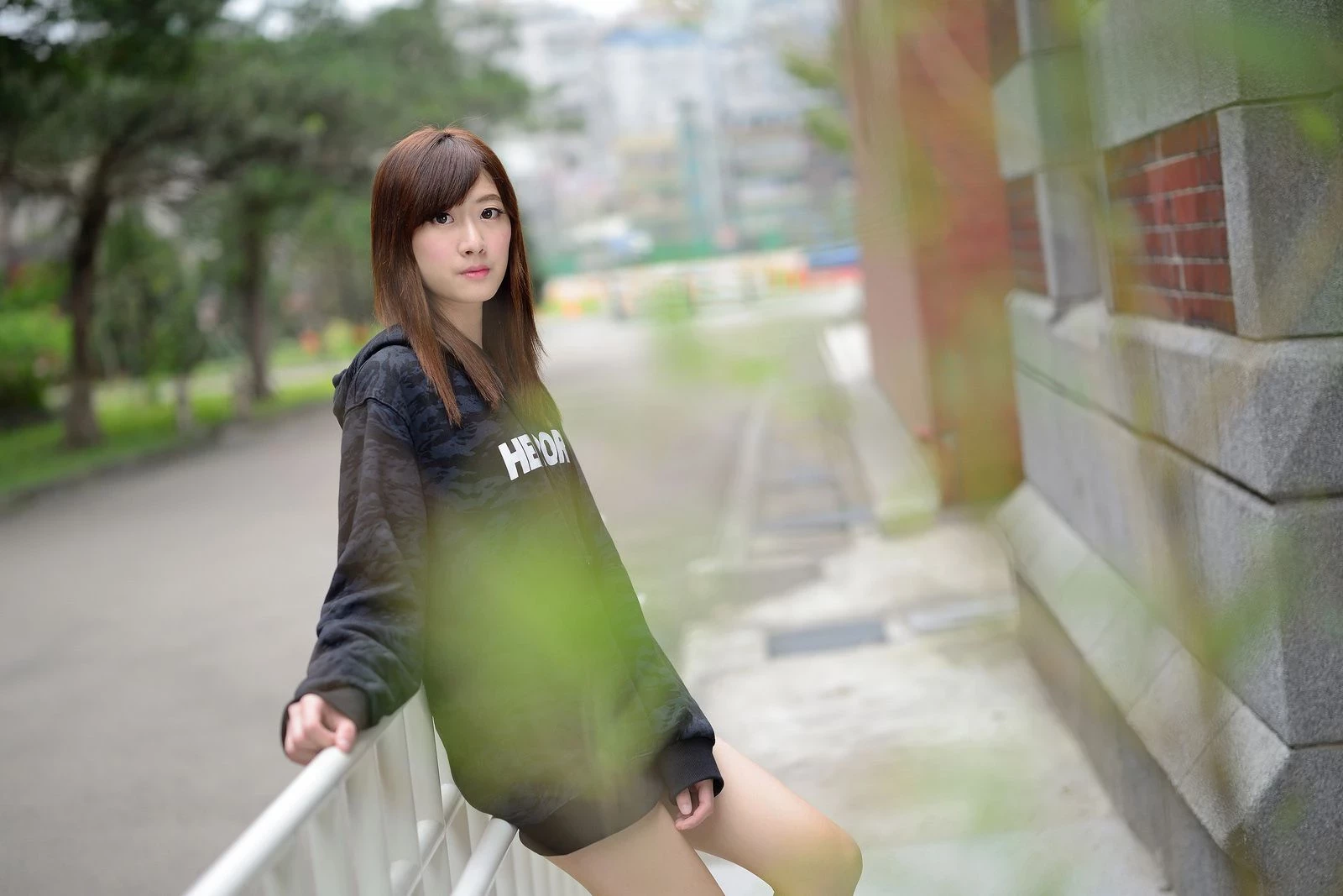 30726219.webp