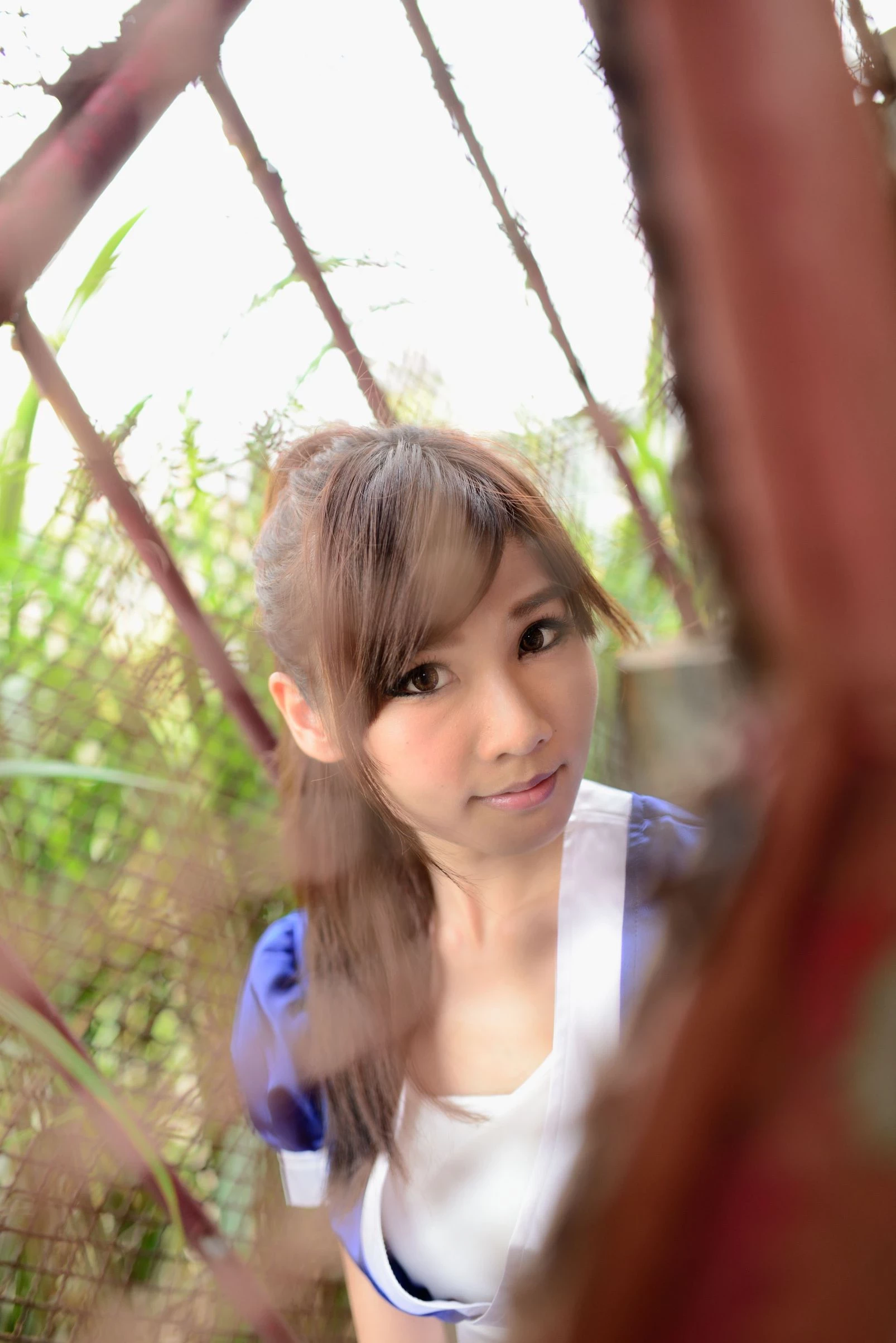 30767657.webp