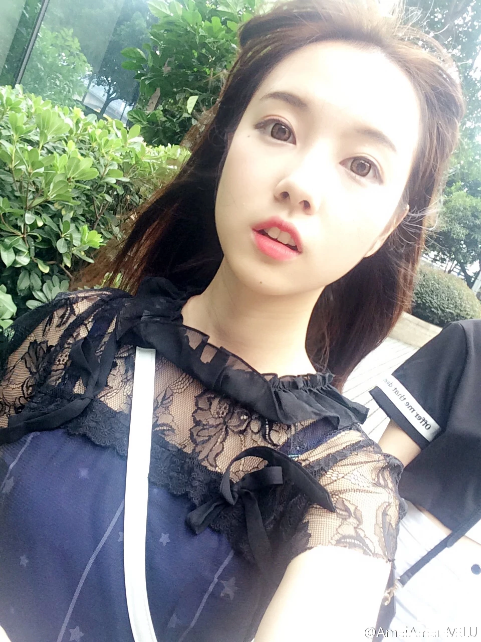 16819077.webp