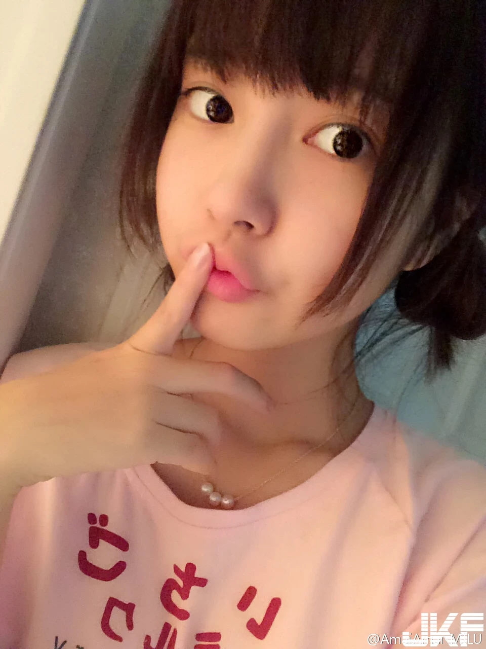 16819081.webp