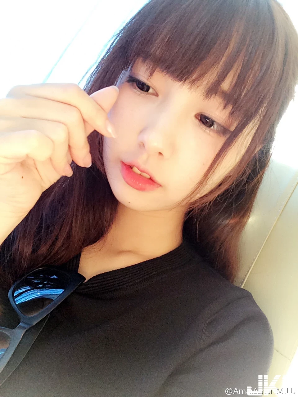 16819088.webp