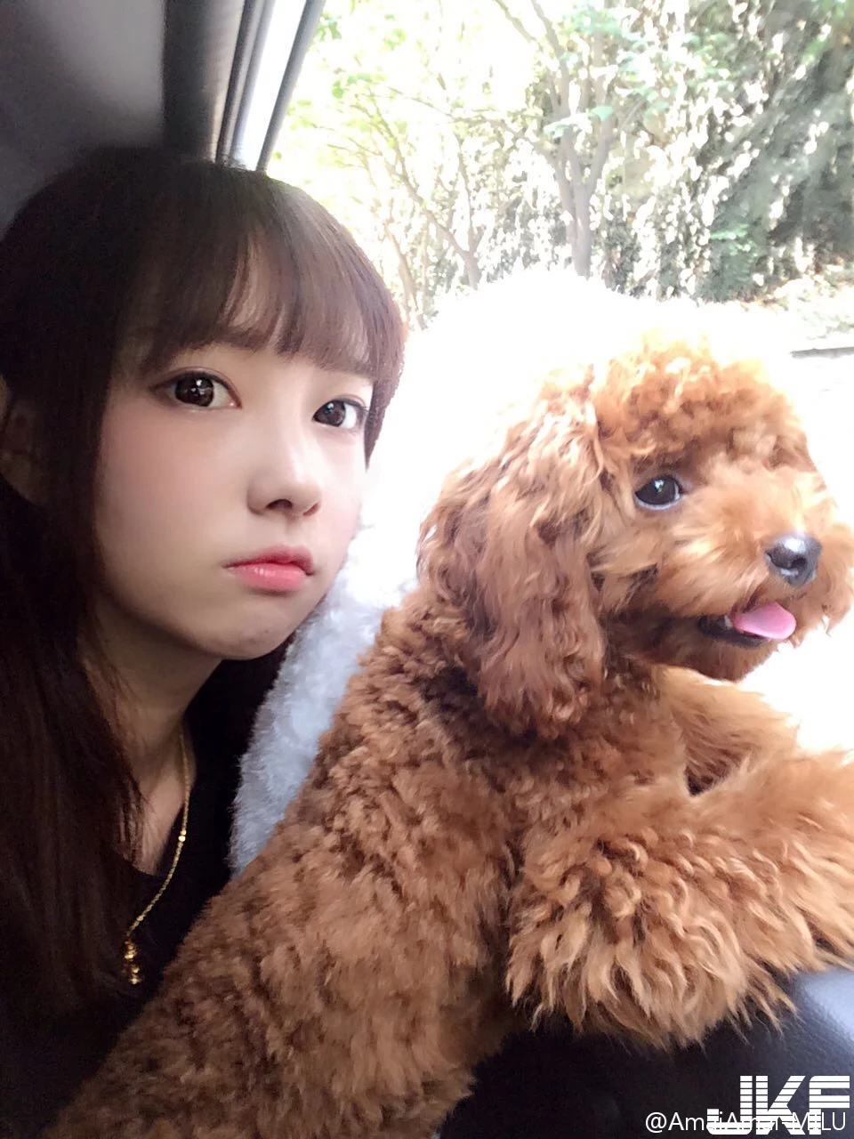 16819091.webp