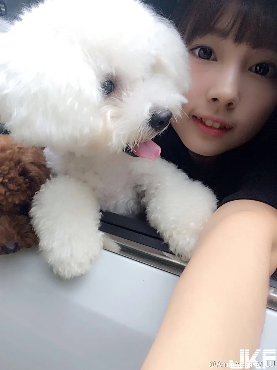 16819090.webp