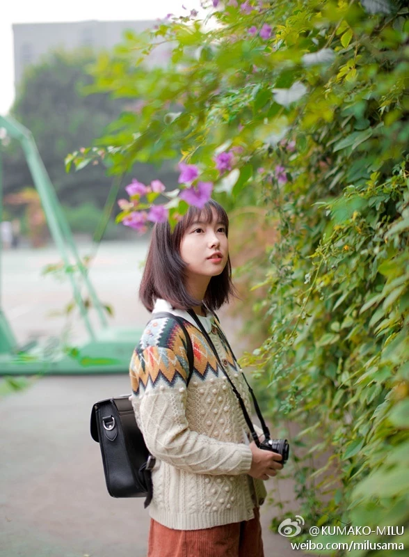 16819117.webp