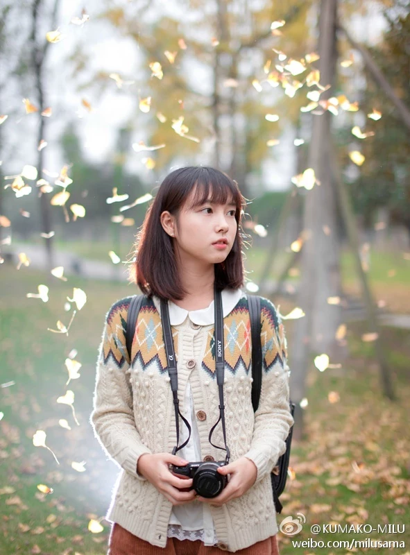 16819118.webp