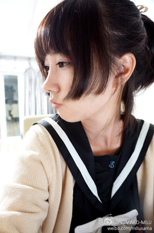 16819120.webp