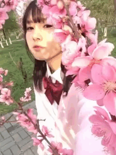 16819140.webp