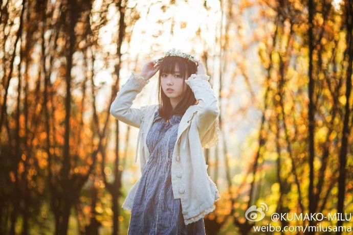 16819147.webp
