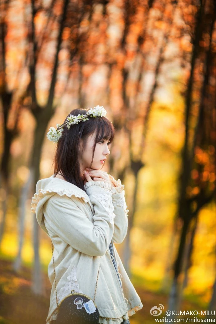 16819146.webp