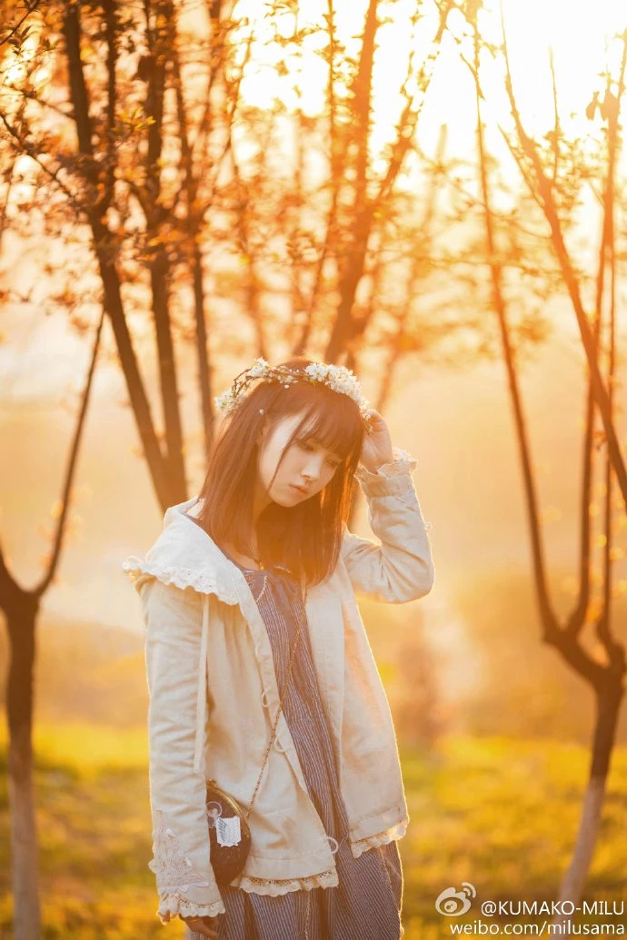 16819148.webp