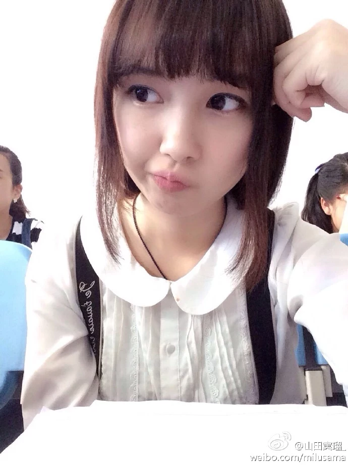 16819158.webp