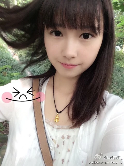 16819161.webp
