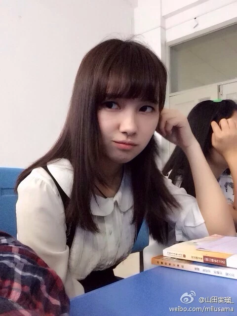 16819159.webp