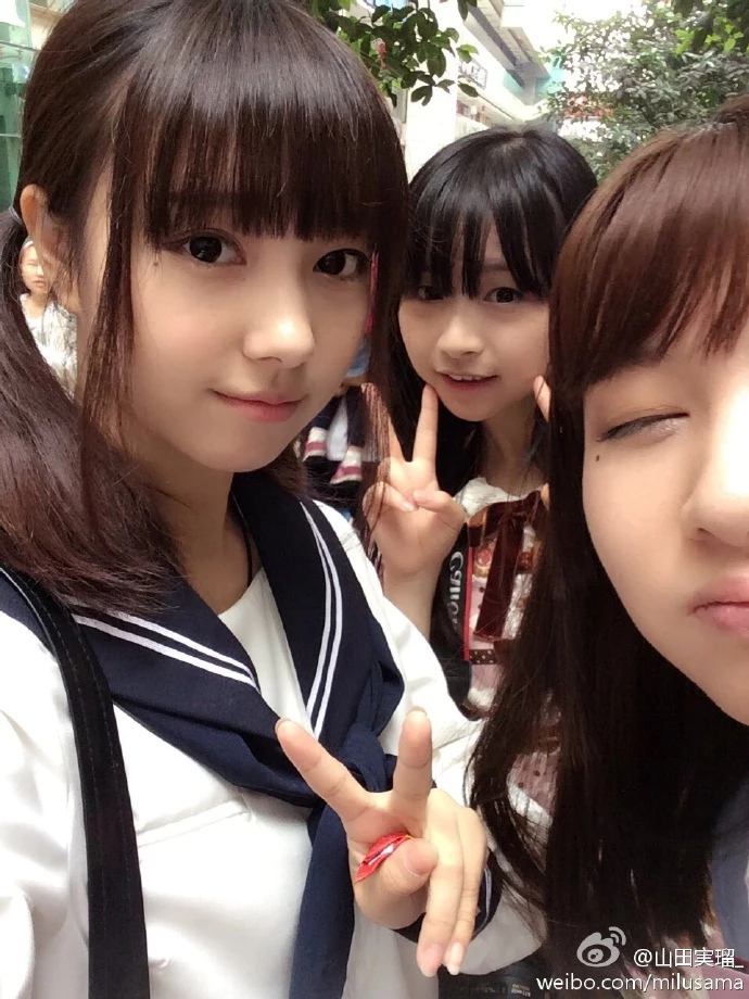 16819163.webp
