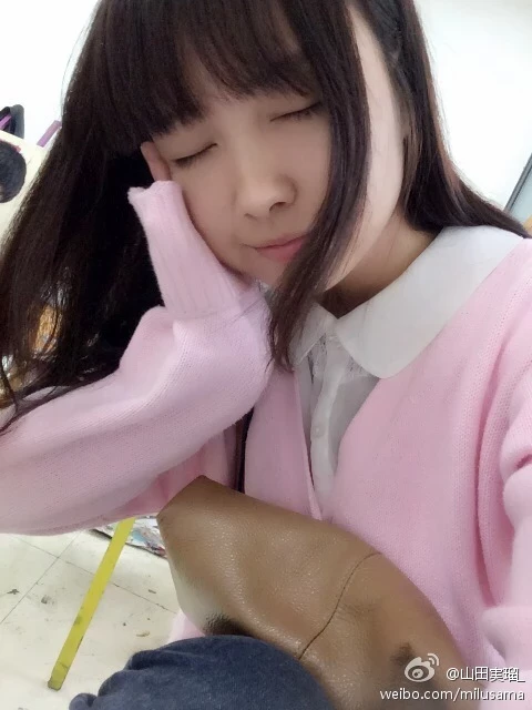 16819166.webp