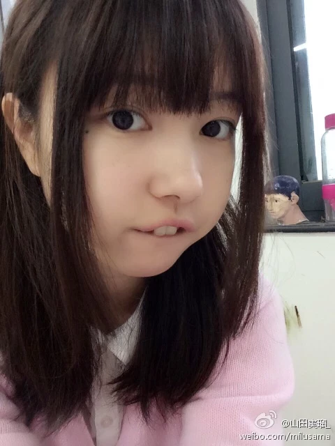 16819165.webp