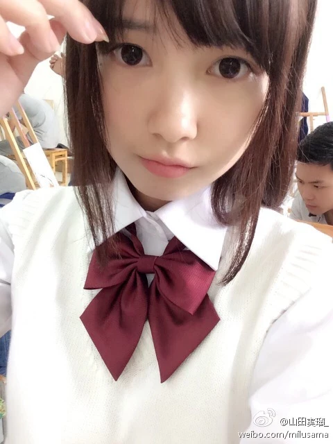 16819167.webp