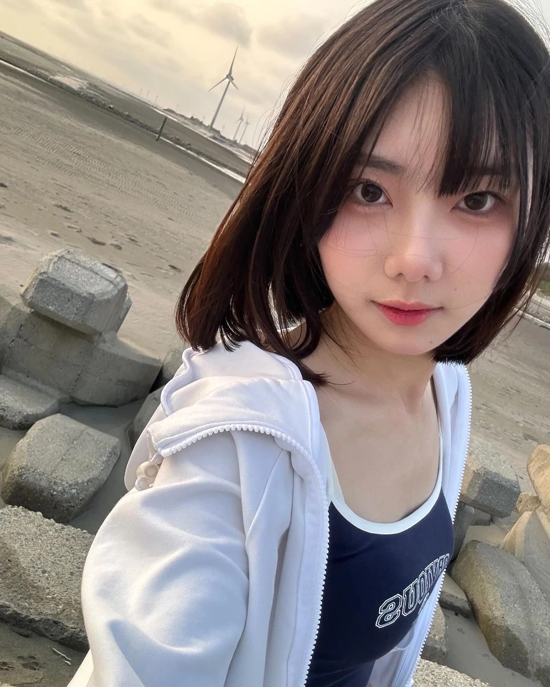 31106026.webp