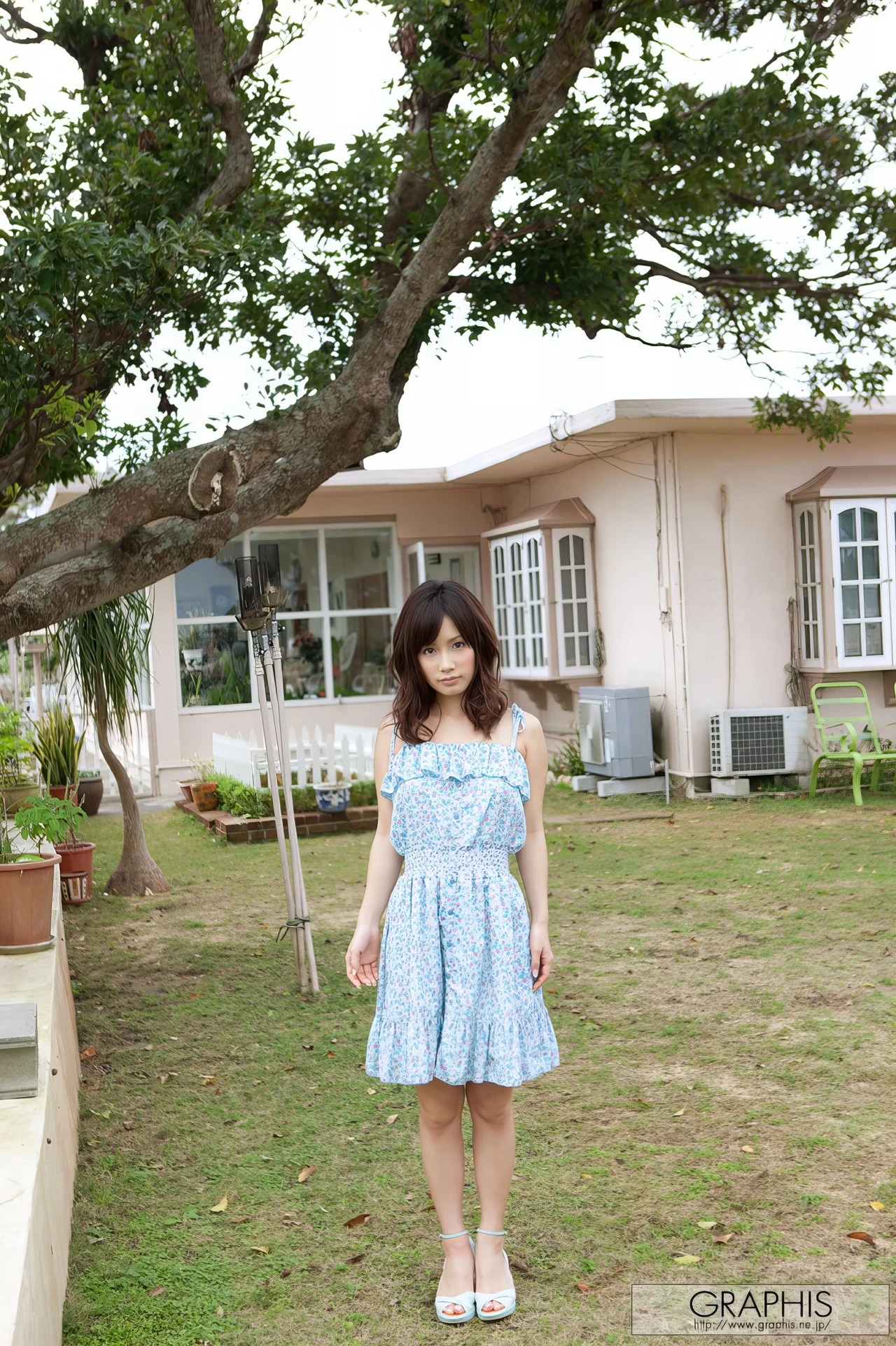 31550027.webp