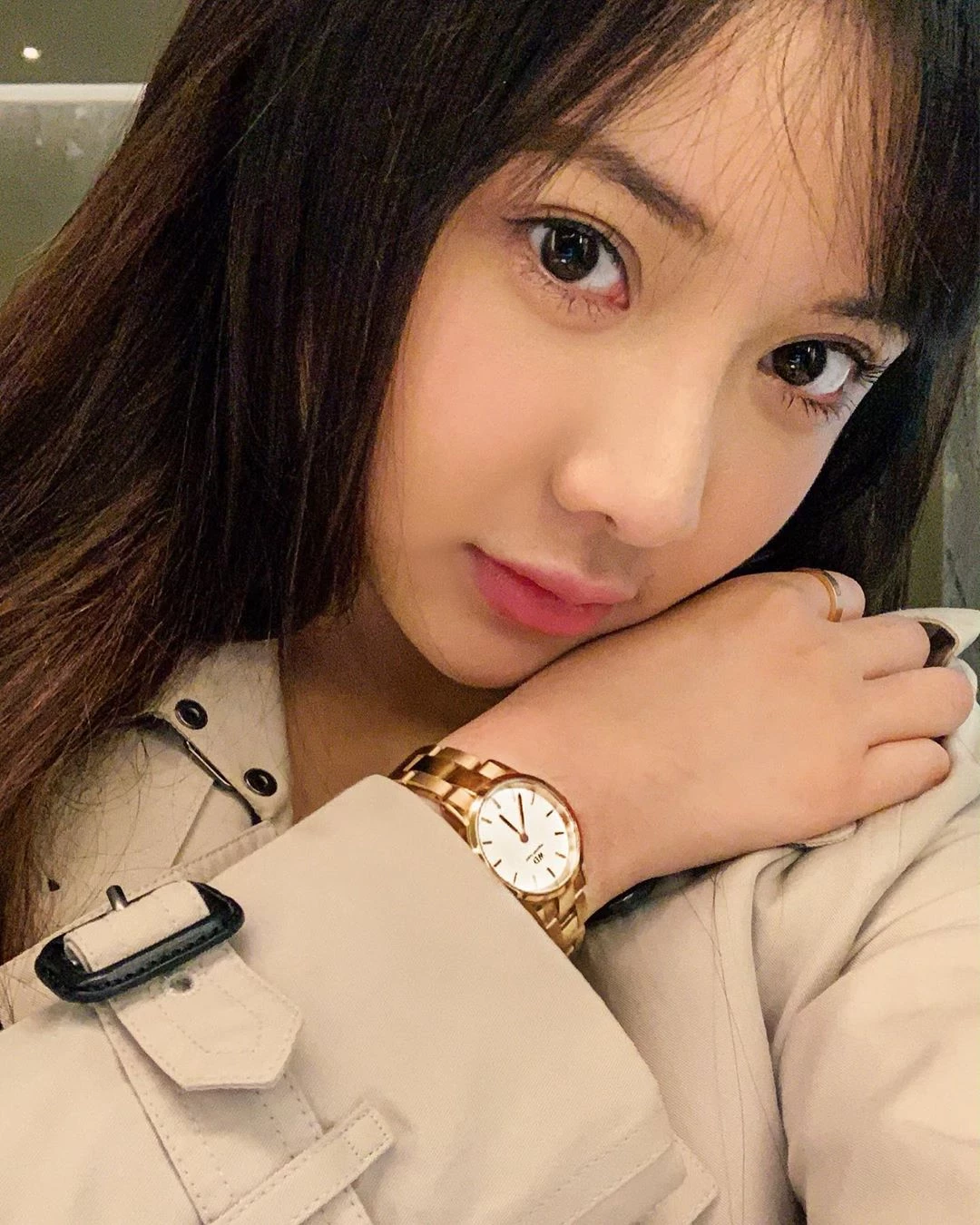 4108040.webp