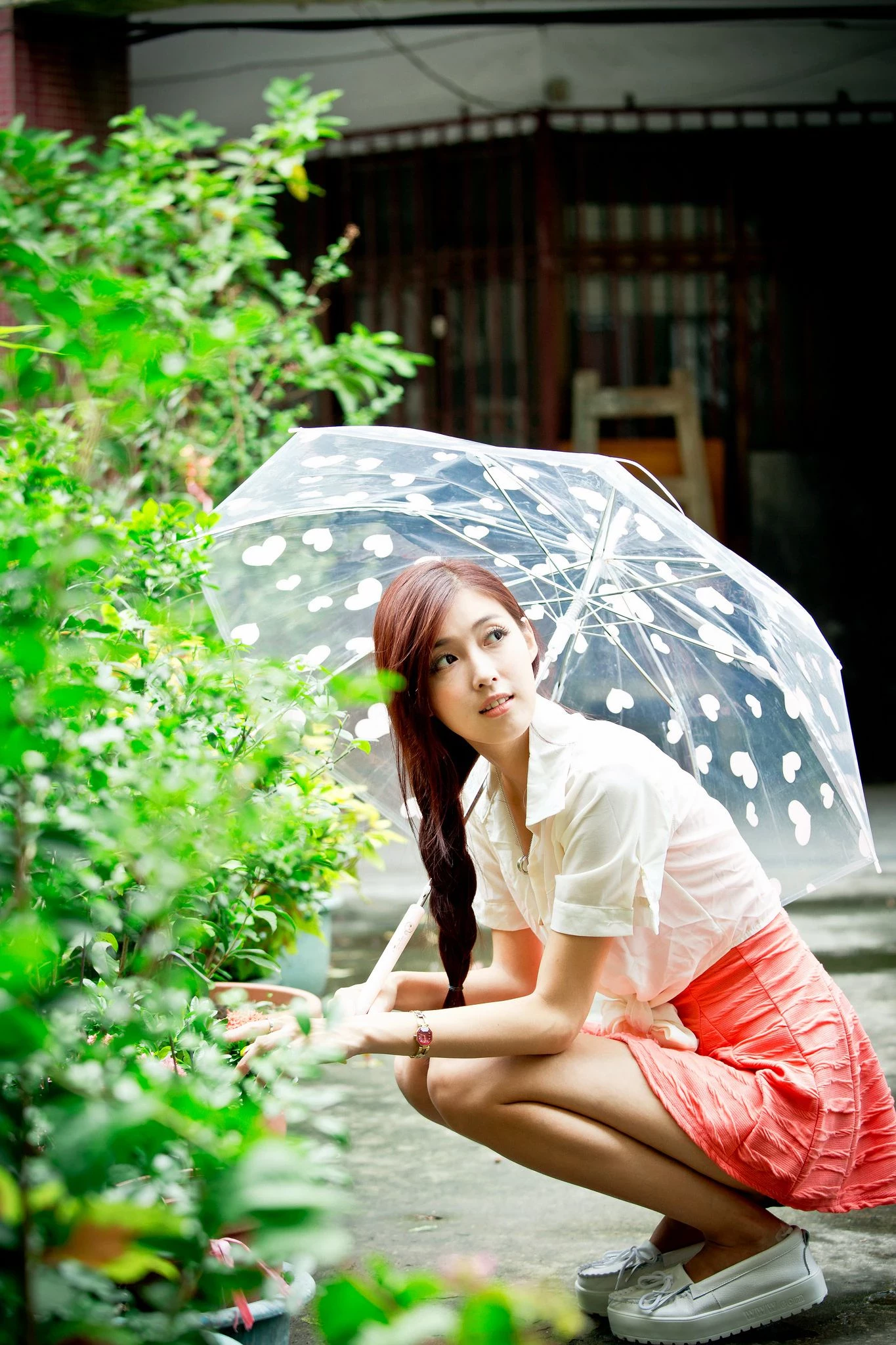 30753787.webp
