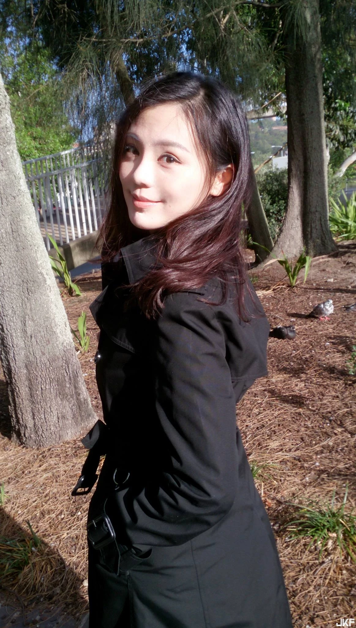 16872994.webp