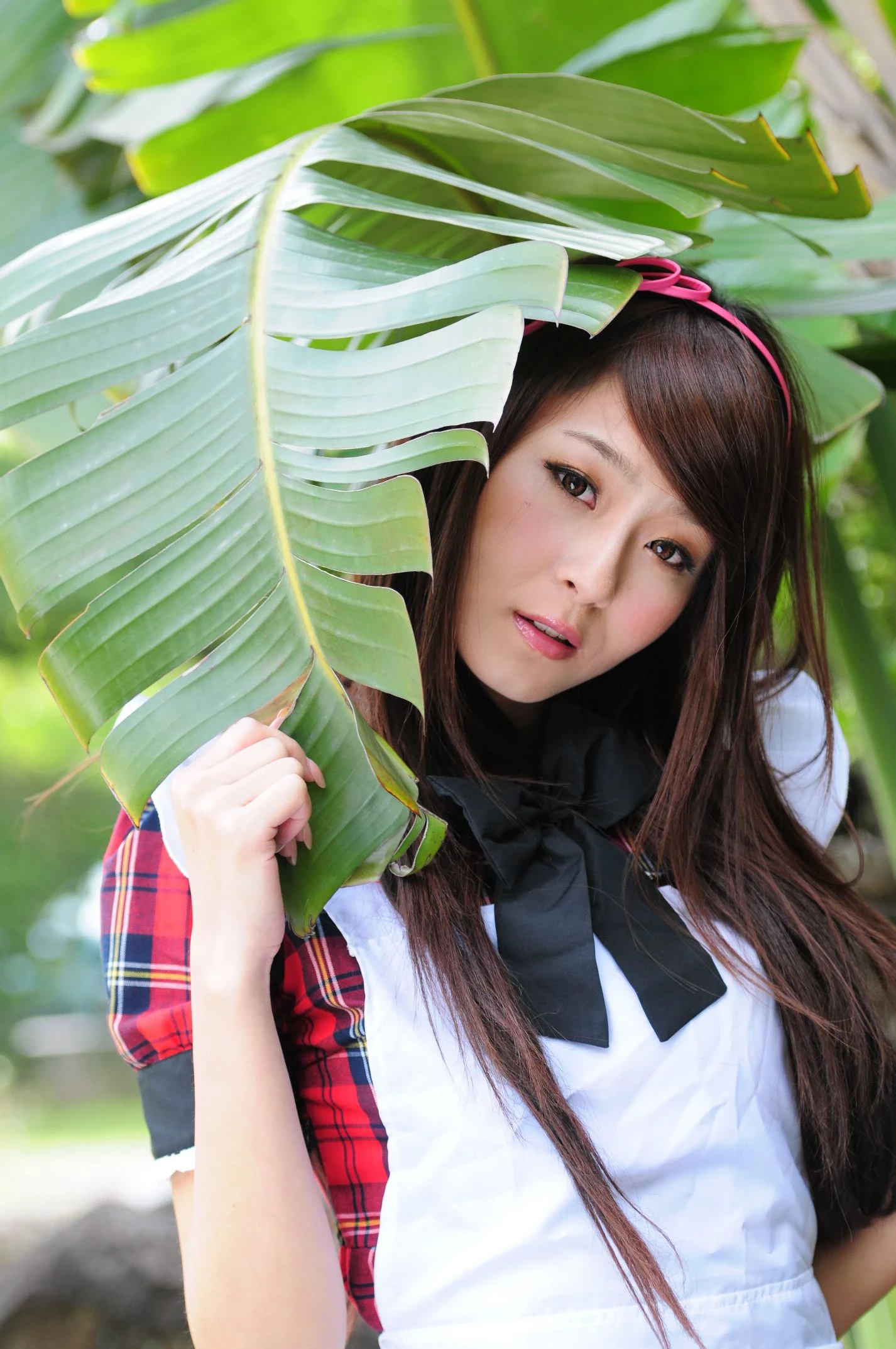 30754781.webp