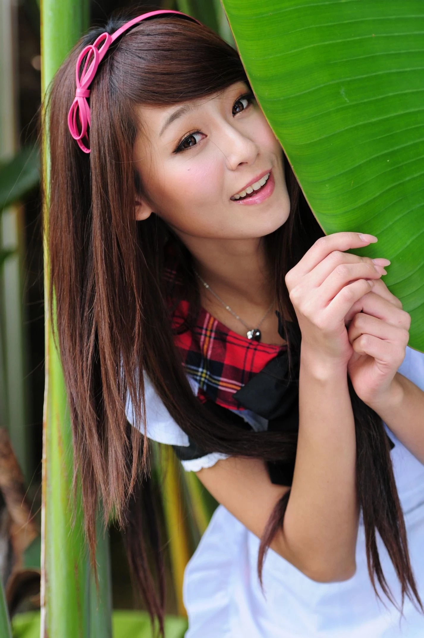 30754785.webp