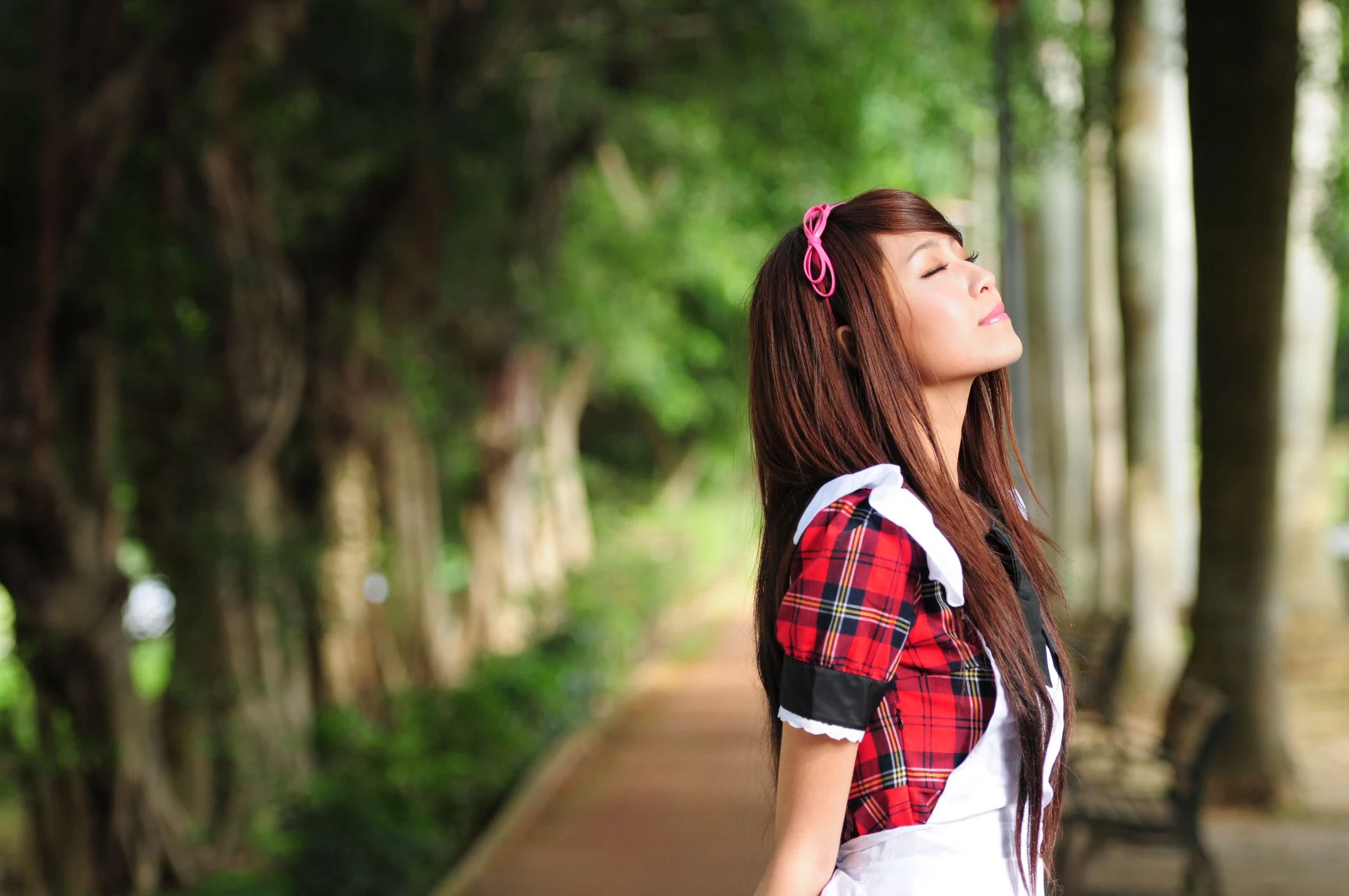30754805.webp
