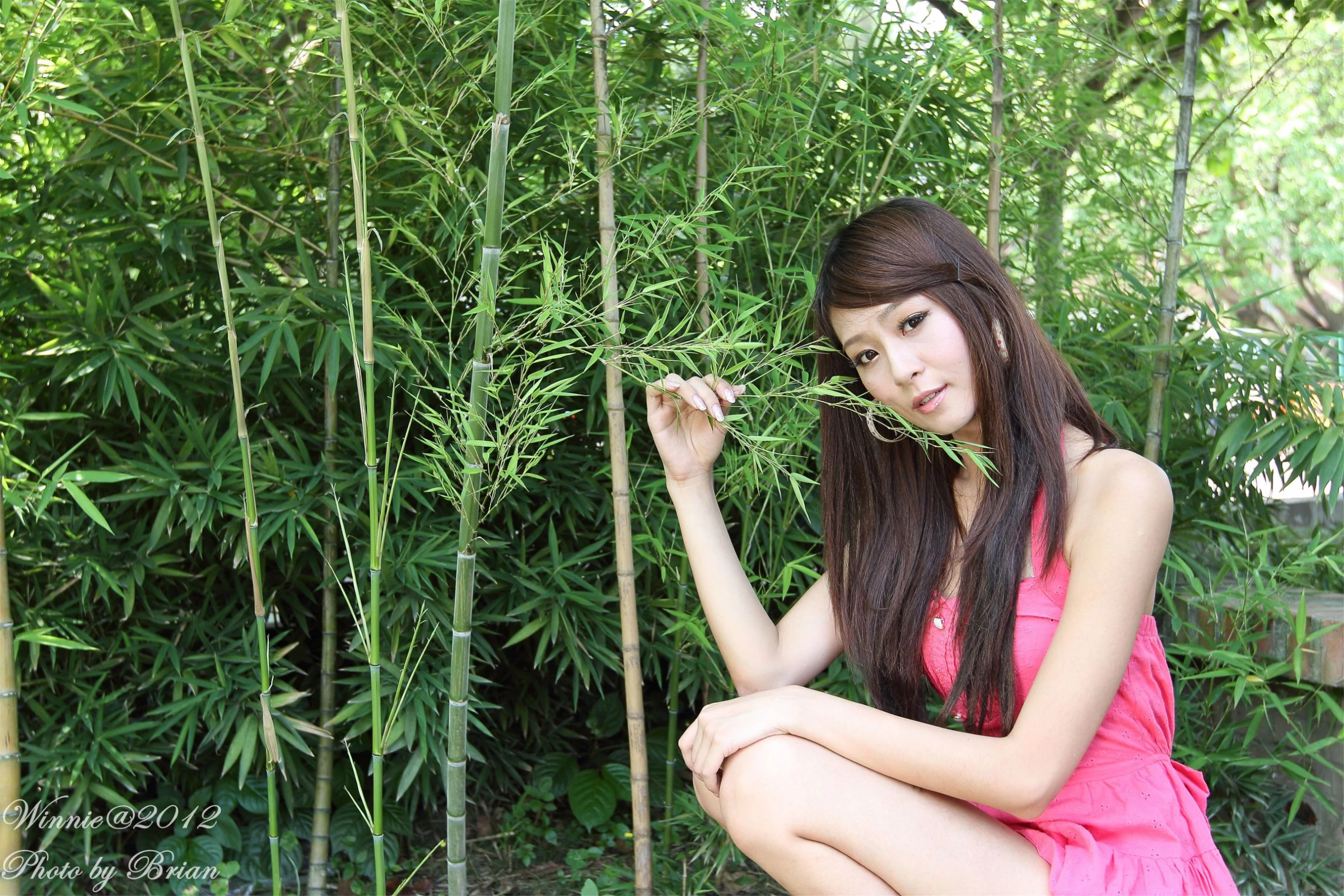 30754464.webp
