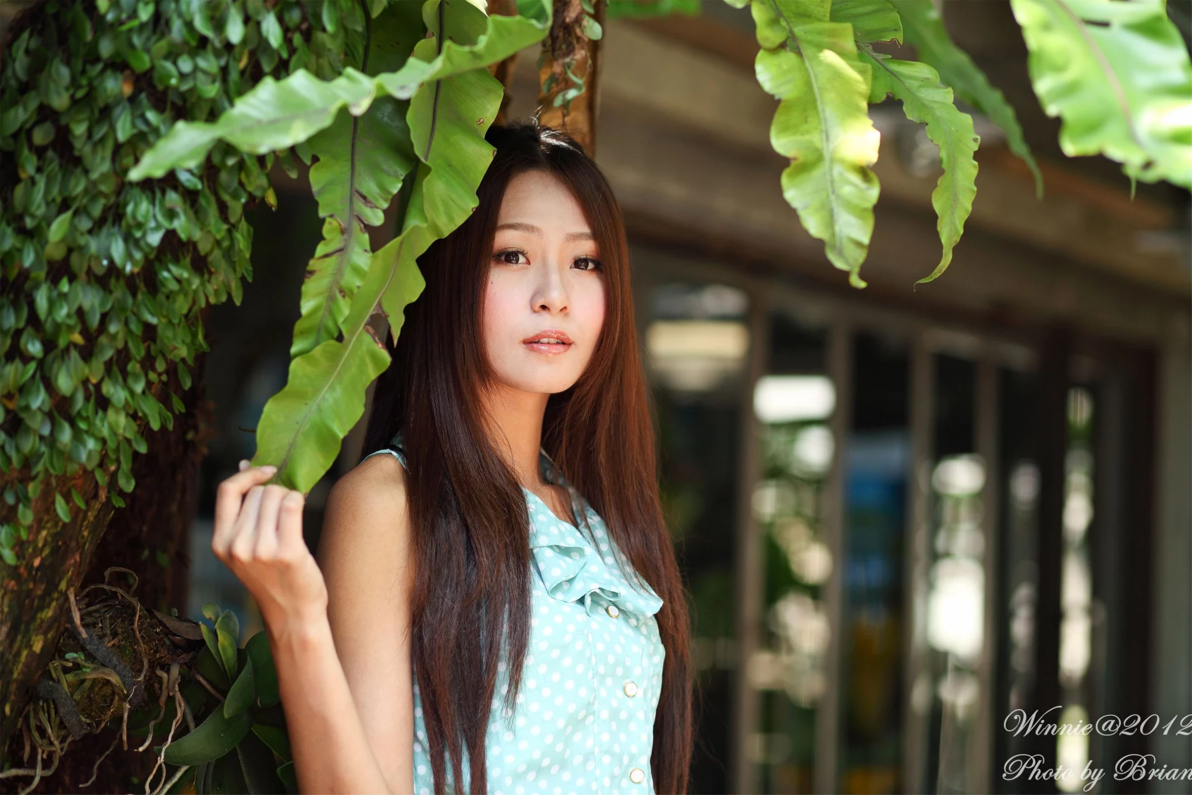 30754482.webp