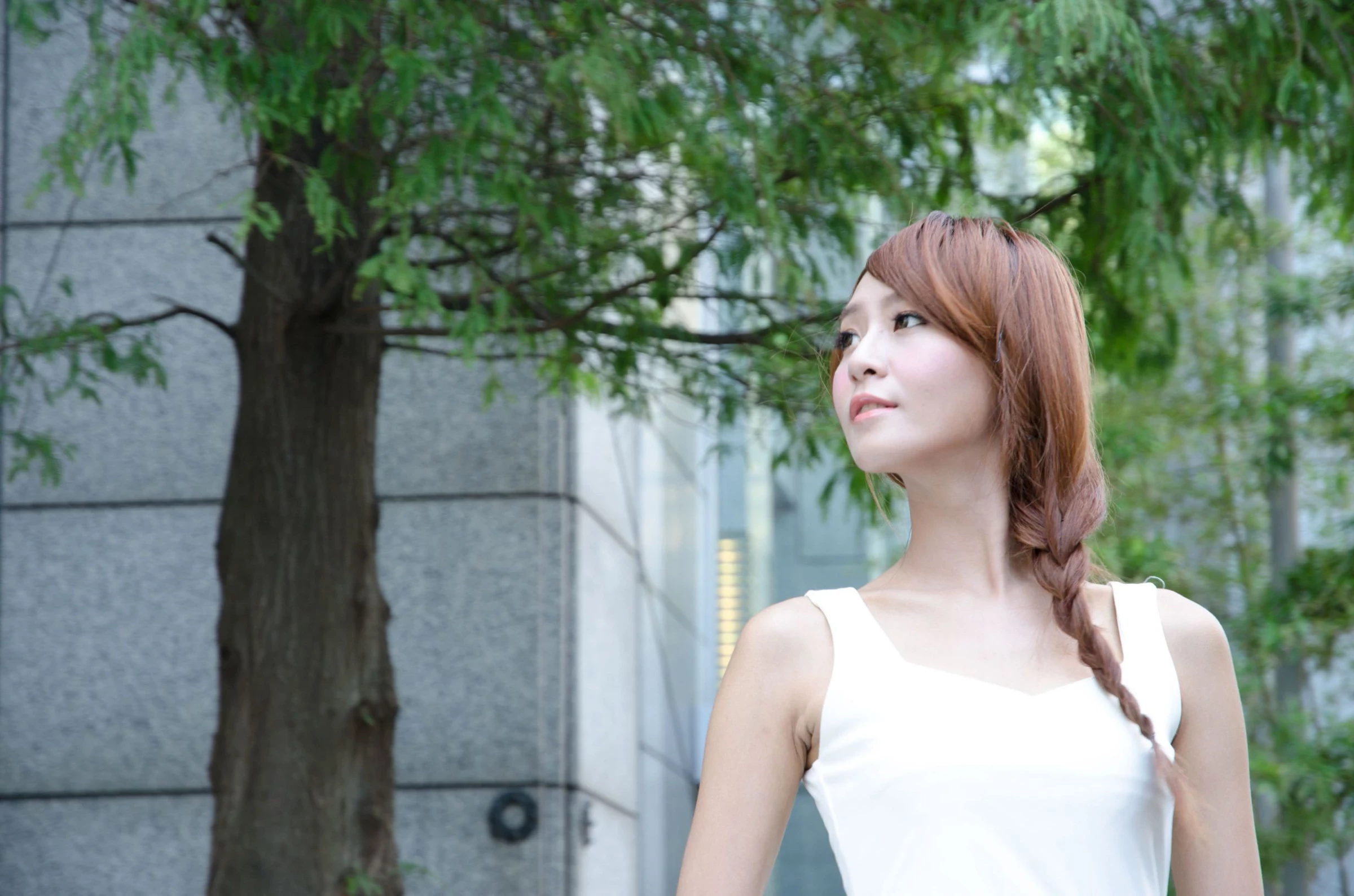 30740816.webp