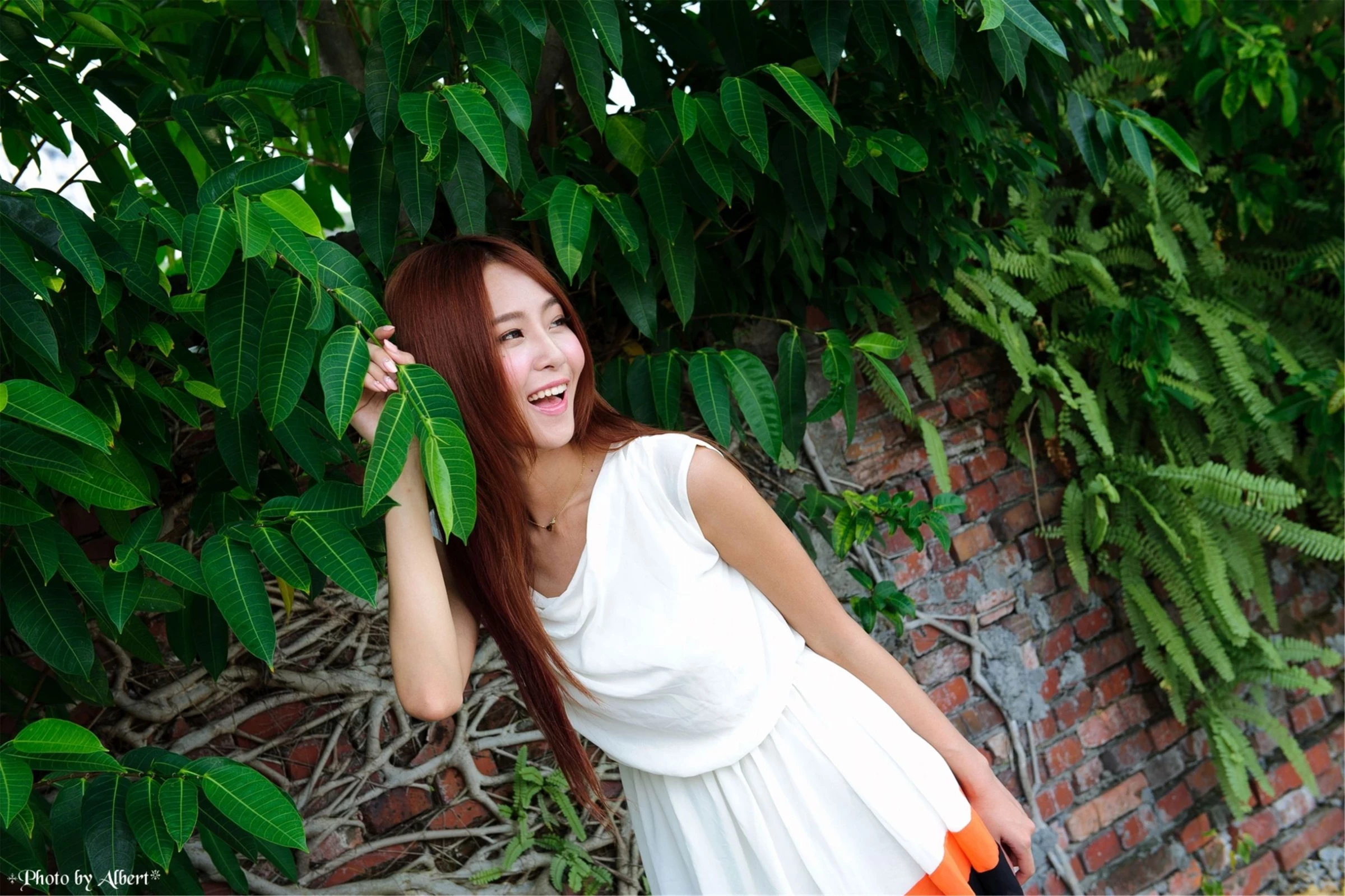 30755167.webp