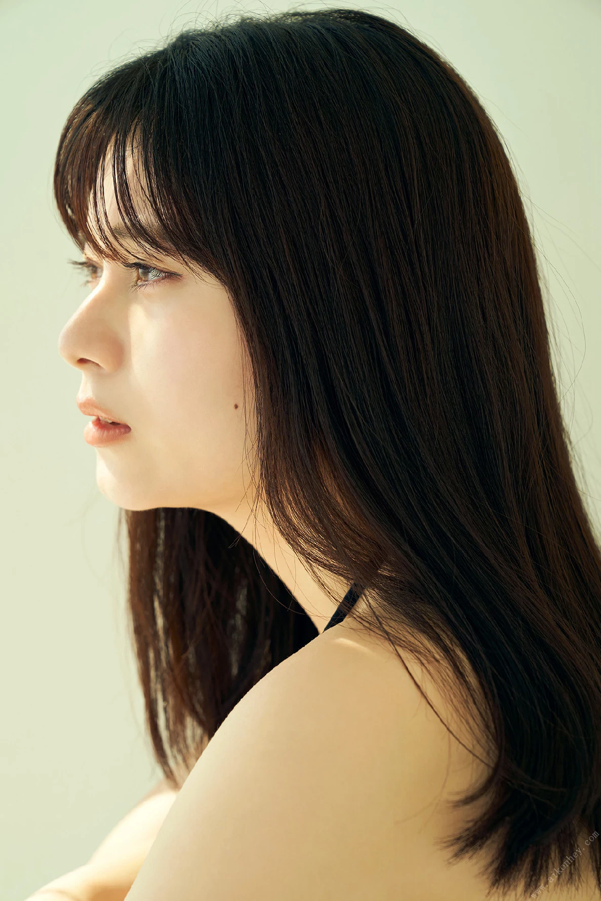 31402846.webp