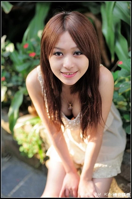 17686847.webp