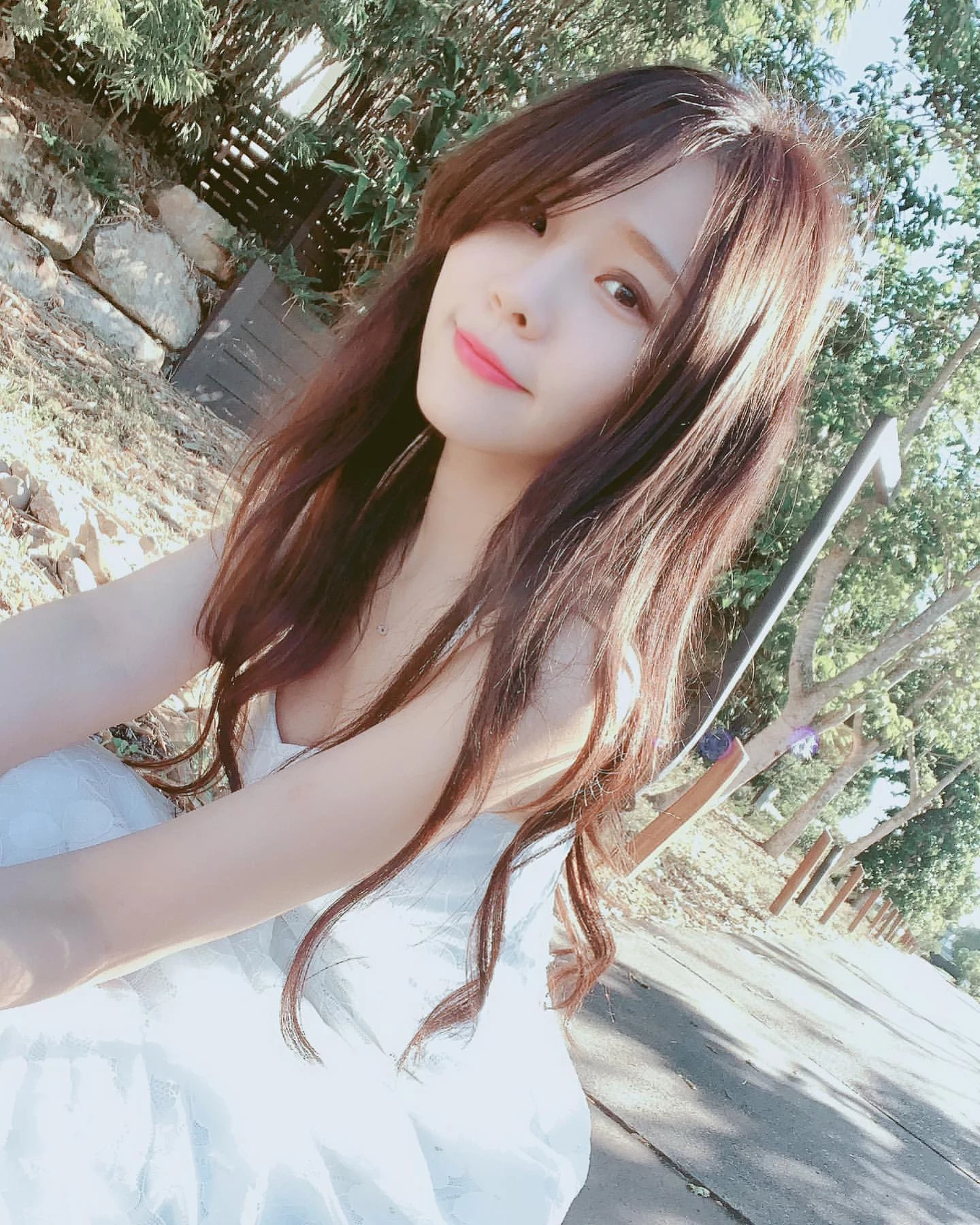 4164120.webp