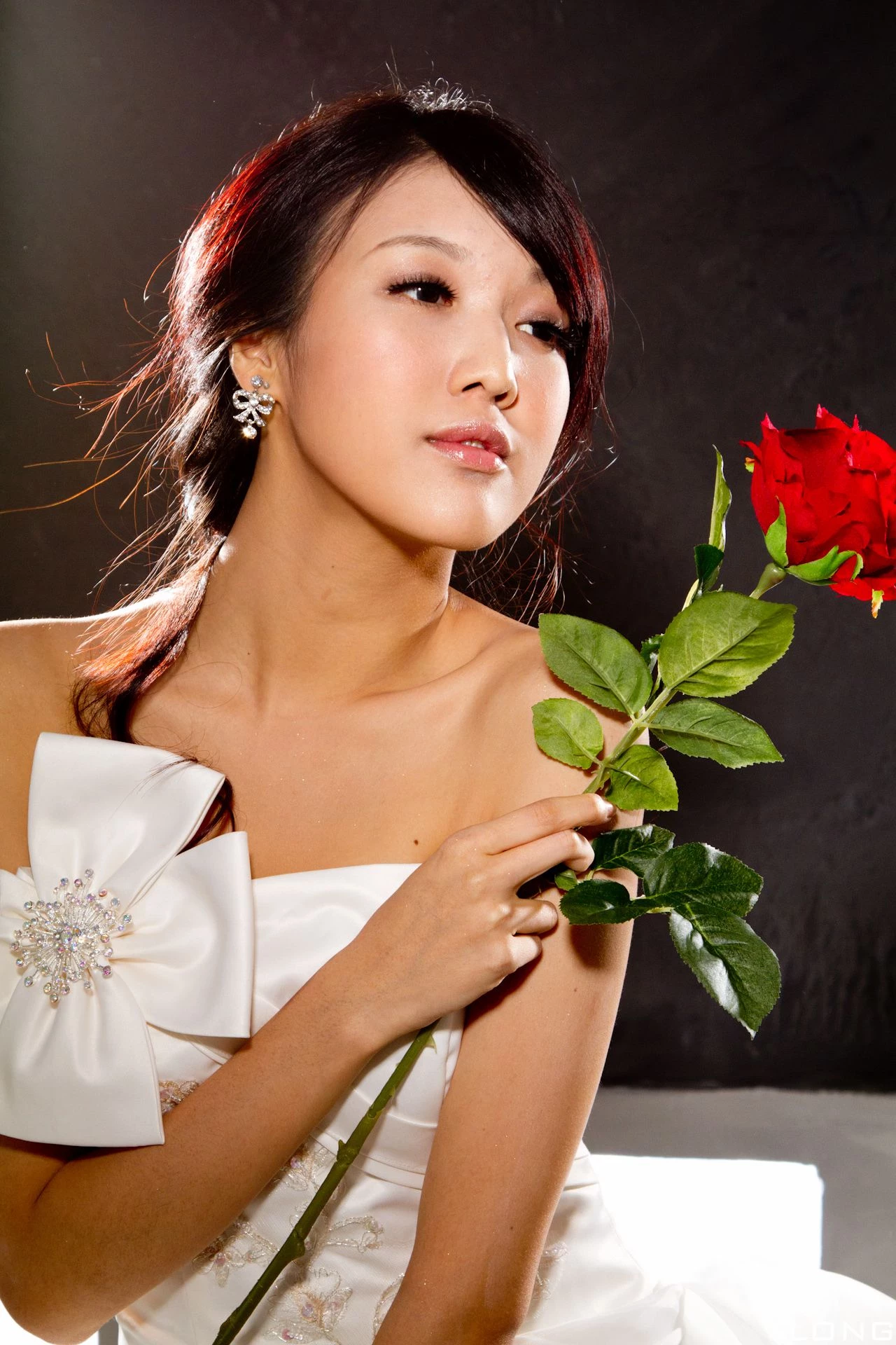 30741616.webp
