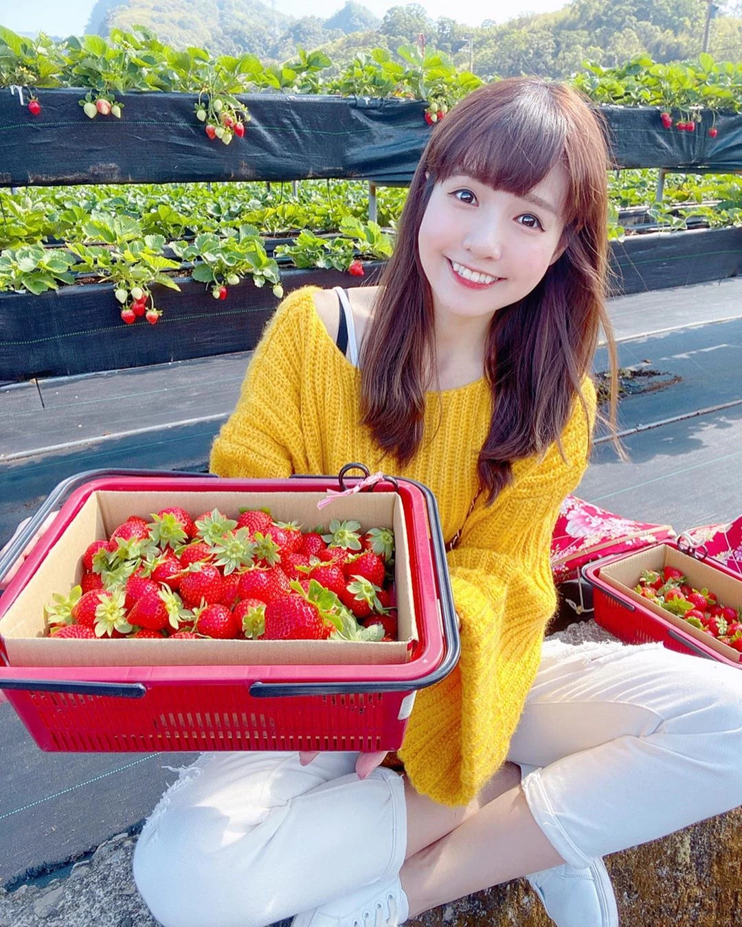 4112032.webp