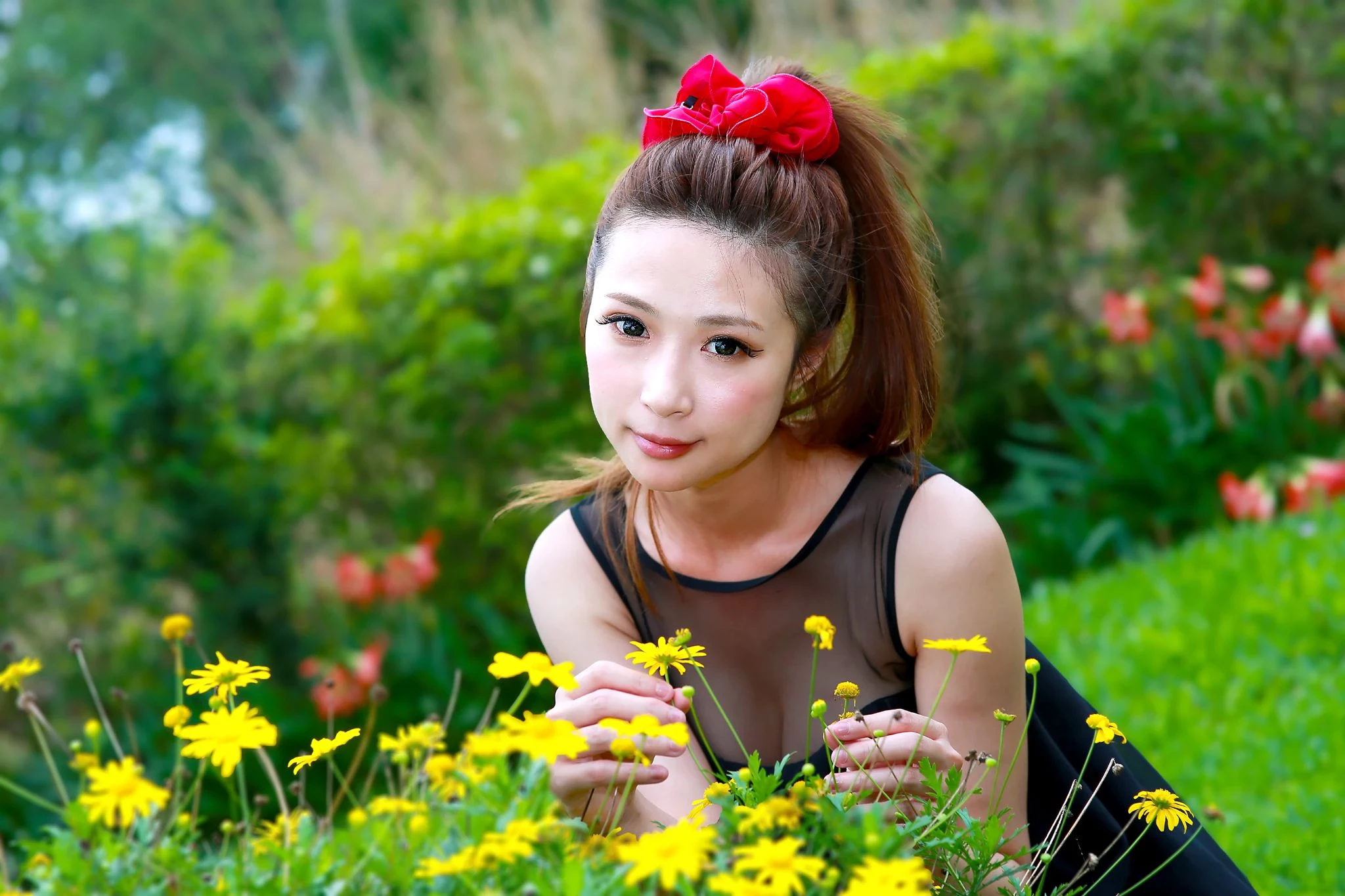 30714477.webp