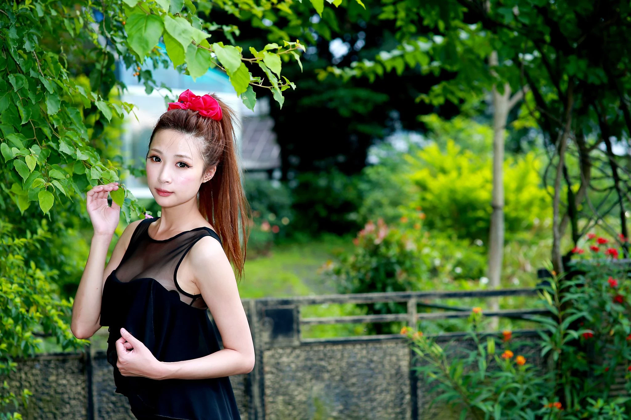 30714478.webp
