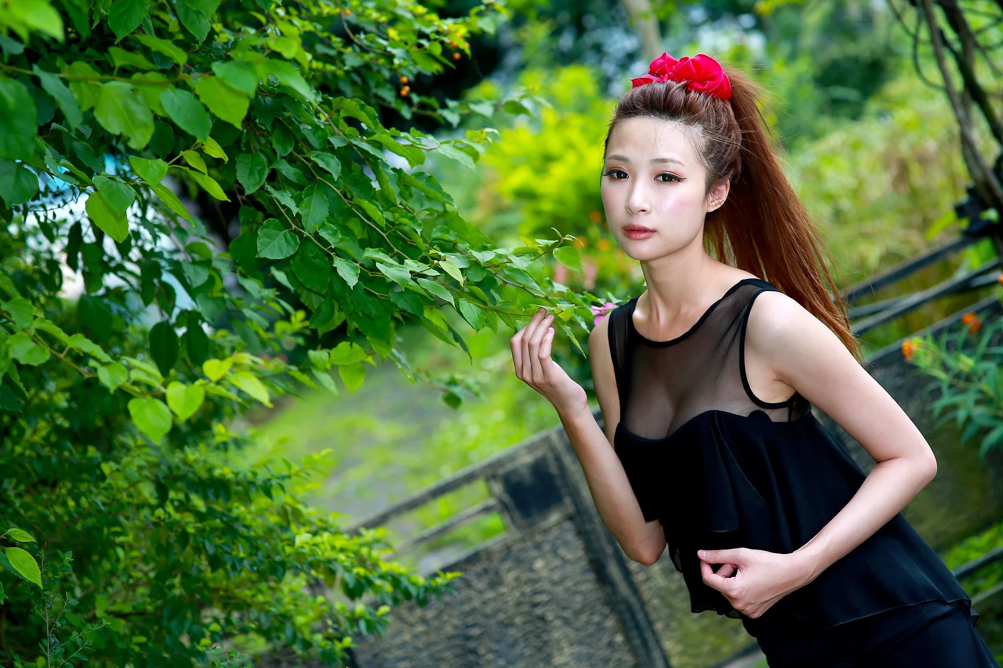 30714479.webp