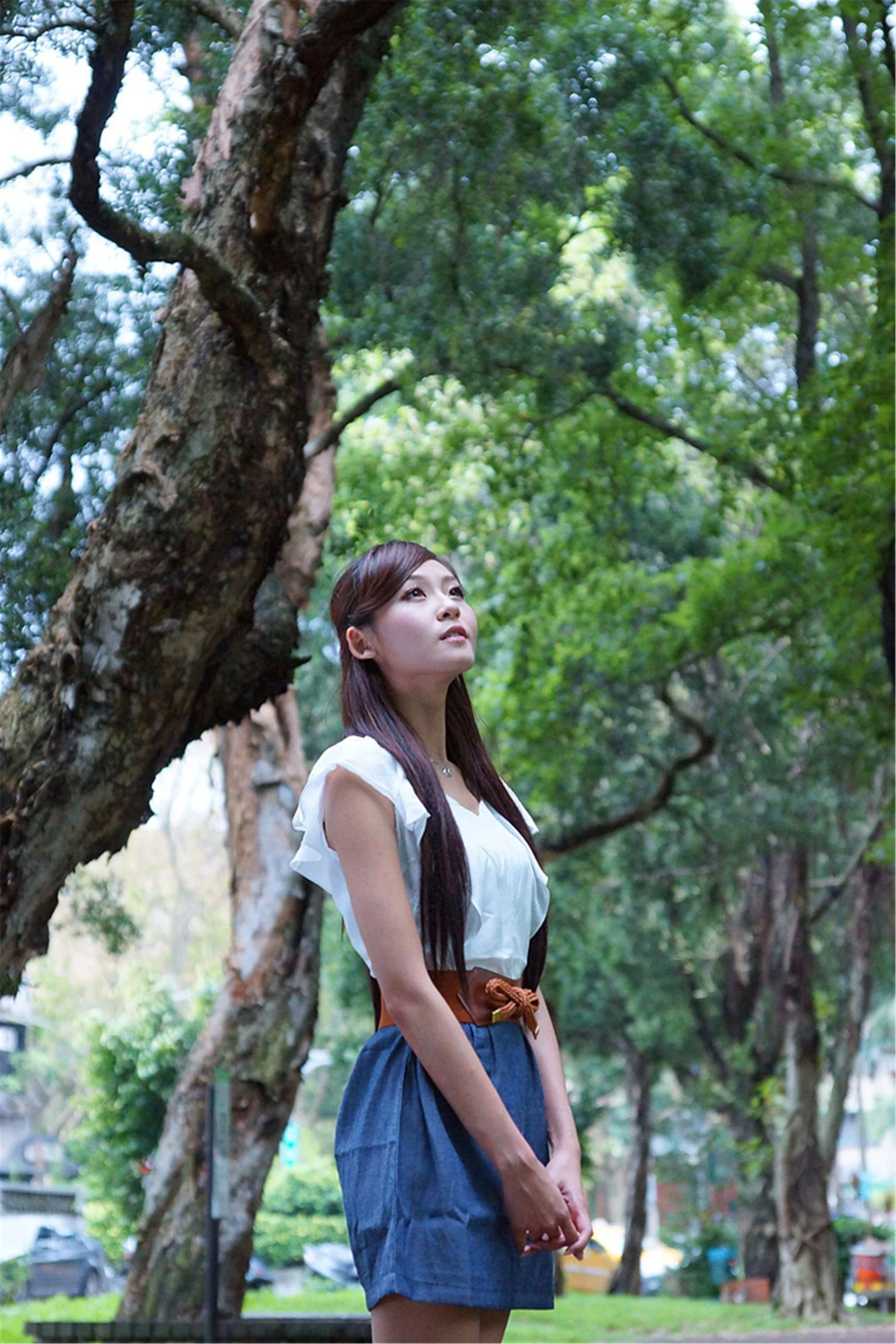 30727803.webp