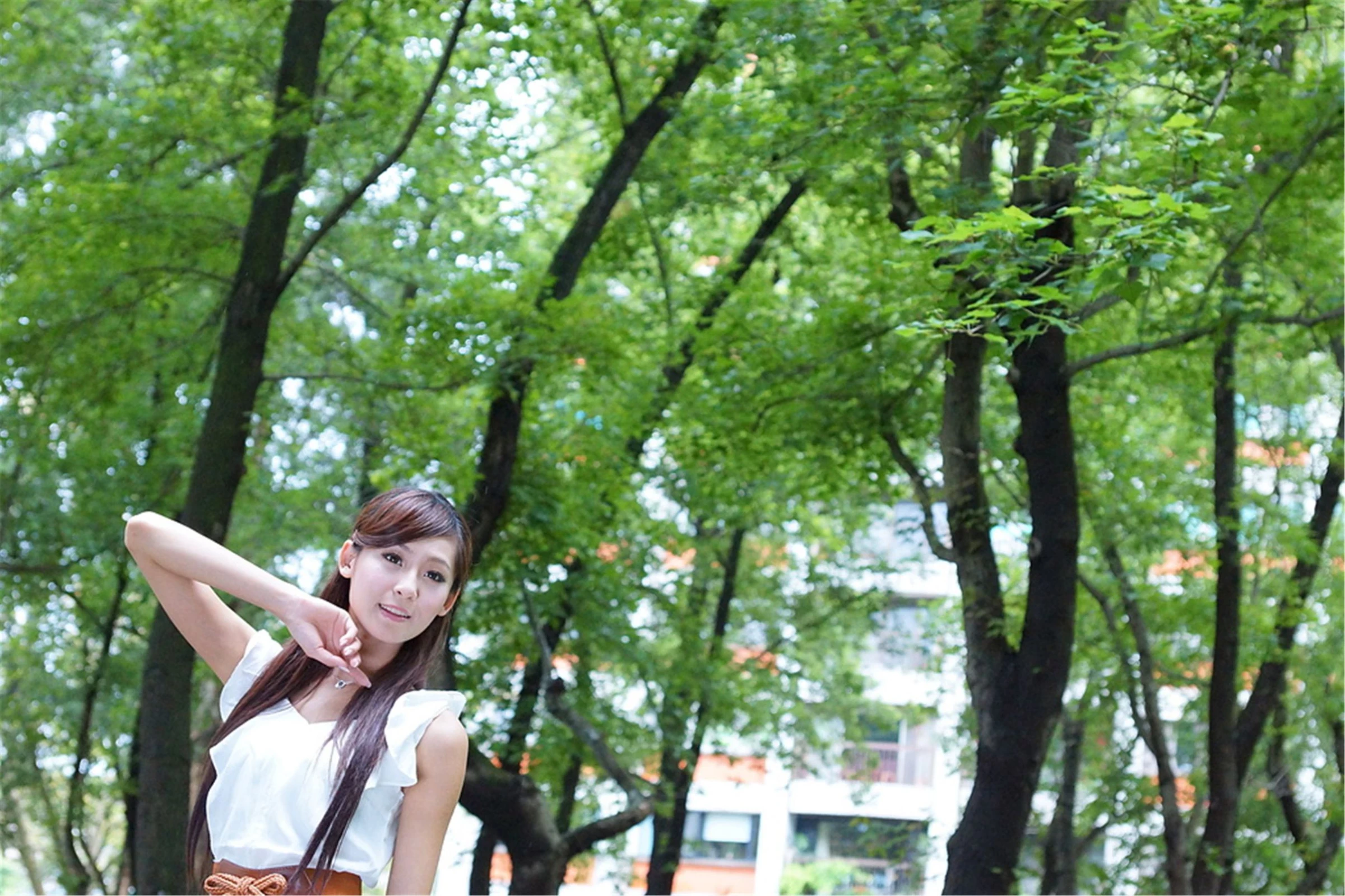 30727806.webp