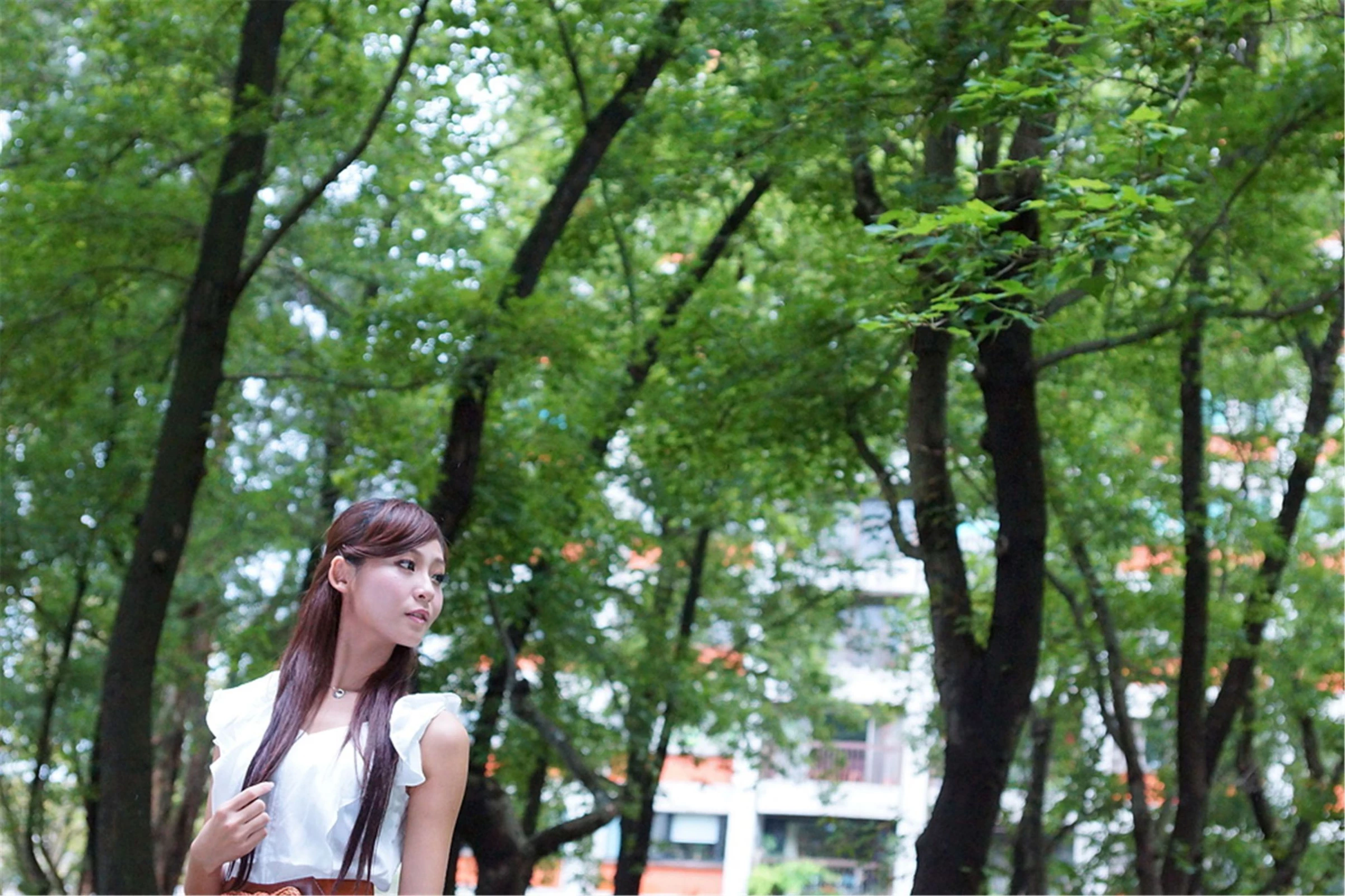 30727807.webp